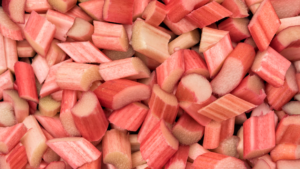 Różne odmiany rabarbaru rosnące w ogrodzie, z naciskiem na różnorodność kolorów i form liści.