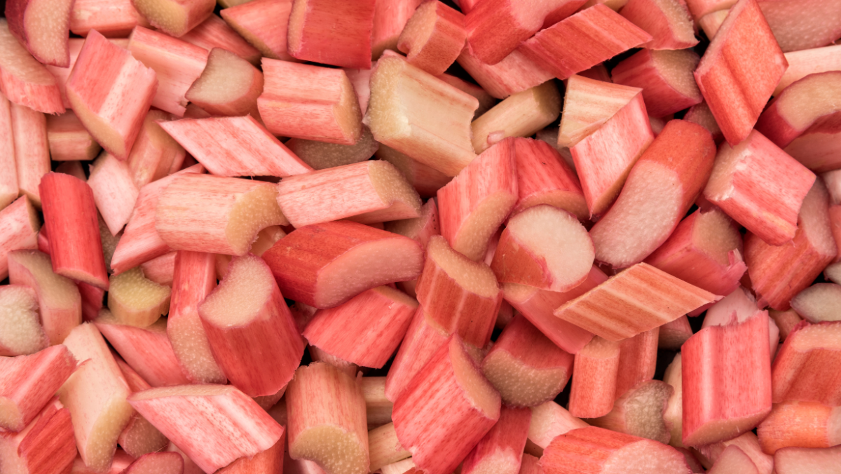 Różne odmiany rabarbaru rosnące w ogrodzie, z naciskiem na różnorodność kolorów i form liści.