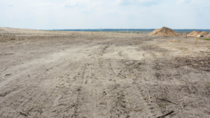 Panoramiczny widok na piaski i roślinność Pustyni Błędowskiej podczas zachodu słońca.