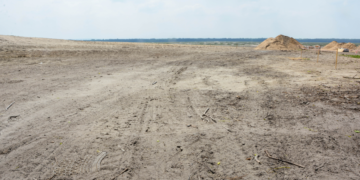Panoramiczny widok na piaski i roślinność Pustyni Błędowskiej podczas zachodu słońca.